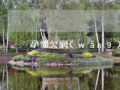 孕婦欠網(wǎng)貸收到法律的保護嗎