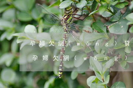 孕婦欠網(wǎng)貸被起訴了會怎么樣(孕婦欠網(wǎng)貸沒還怎么辦)