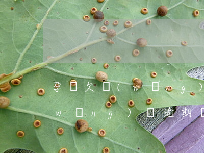 孕婦欠網(wǎng)貸還不上怎么辦(網(wǎng)貸逾期懷孕了沒辦法還怎么辦)