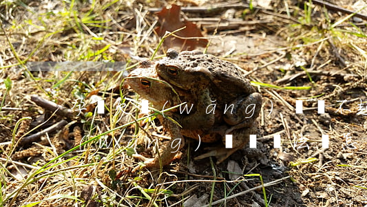 孕婦欠網(wǎng)貸還不起(懷孕了欠網(wǎng)貸沒辦法還怎么辦)