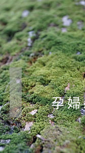 孕婦殺人案(孕婦死亡案件)