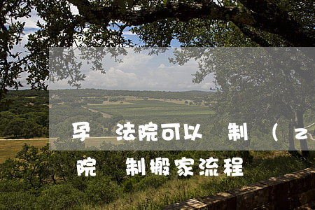 孕婦法院可以強制執(zhí)行搬家嗎(法院強制搬家流程)