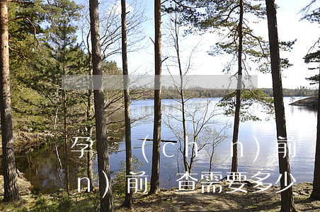 孕婦產(chǎn)前檢查(孕婦產(chǎn)前檢查需要多少錢(qián))