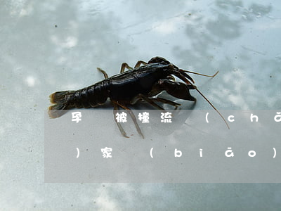 孕婦被撞流產(chǎn)賠償國(guó)家標(biāo)準(zhǔn)(孕婦被撞賠償標(biāo)準(zhǔn)對(duì)方全責(zé))