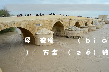 孕婦被撞賠償標(biāo)準(zhǔn)對方全責(zé)(被撞了對方全責(zé)可以要求哪些賠償)