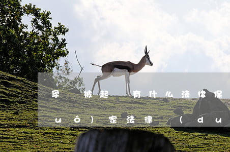 孕婦被起訴有什么法律保護(hù)(國(guó)家法律對(duì)孕婦的保護(hù))