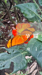 孕婦被車(chē)撞了怎么賠償多少錢(qián)(孕婦被撞賠償國(guó)家標(biāo)準(zhǔn))