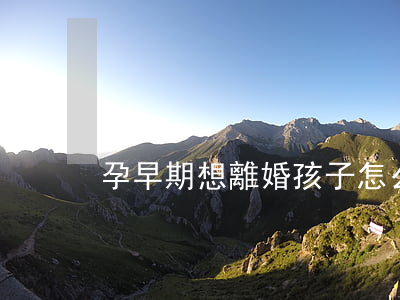 孕早期想離婚孩子怎么辦