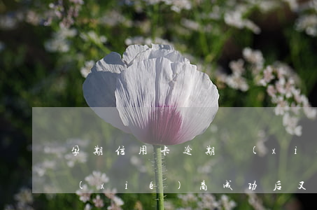 孕期信用卡逾期協(xié)商(跟信用卡協(xié)商成功后又逾期了)