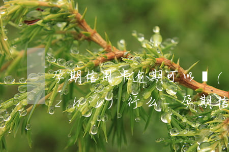 孕期信用卡逾期可以監(jiān)外執(zhí)行么-孕期信用卡逾期可以監(jiān)外執(zhí)行么嗎