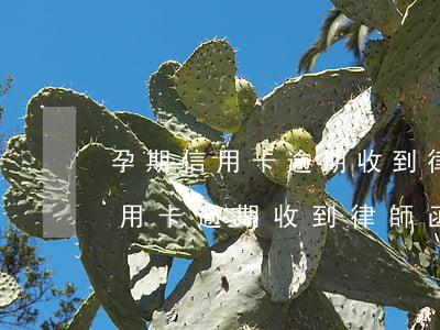 孕期信用卡逾期收到律師函怎么辦-孕期信用卡逾期收到律師函怎么辦理