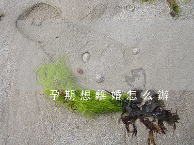 孕期想離婚怎么辦