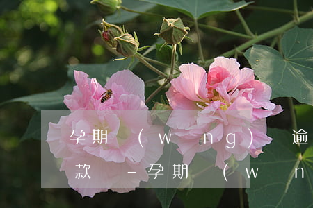 孕期網(wǎng)貸逾期可以申請延期還款嗎-孕期網(wǎng)貸逾期可以申請延期還款嗎知乎