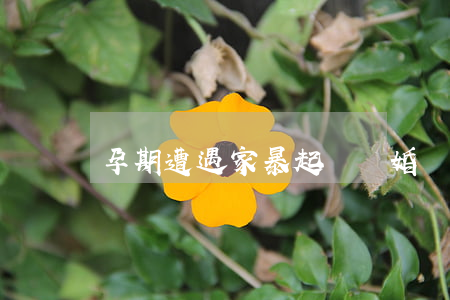 孕期遭遇家暴起訴離婚