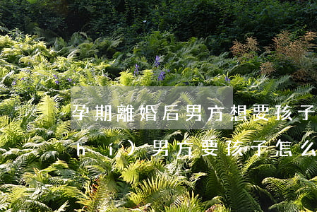 孕期離婚后男方想要孩子怎么辦(離婚時(shí)男方要孩子怎么辦)