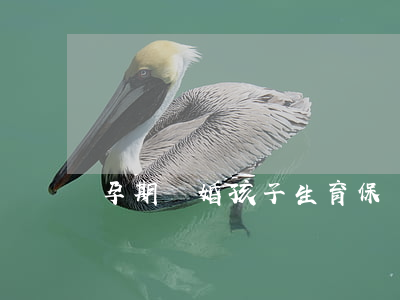 孕期離婚孩子生育保險