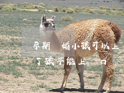 孕期離婚小孩可以上戶口嗎(夫妻離婚后懷孕了孩子能上戶口嗎)