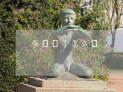 存單丟了怎么辦