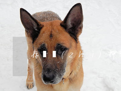 存單質(zhì)押孳息處理方式有哪些