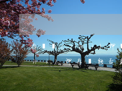 存單質(zhì)押貸款算不算逾期(質(zhì)押存單能否直接還貸款)