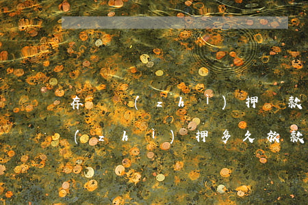 存單質(zhì)押貸款逾期五天(用存單質(zhì)押多久放款)