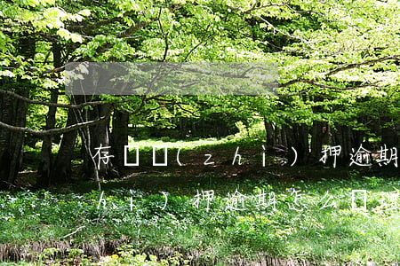 存單質(zhì)押逾期怎么辦(存單質(zhì)押逾期怎么辦理流程)