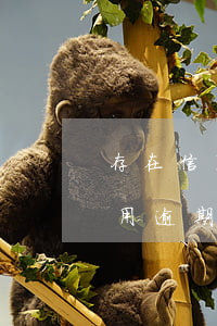 存在信用逾期歷史記錄是怎么回事-存在信用逾期歷史記錄是怎么回事啊