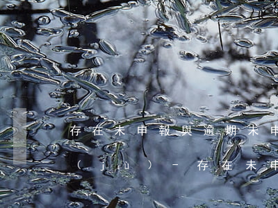 存在未申報與逾期未申報的數(shù)據(jù)-存在未申報與逾期未申報的數(shù)據(jù)區(qū)別