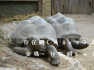 存在網(wǎng)商貸逾期也不能用備用金嗎-存在網(wǎng)商貸逾期也不能用備用金嗎為什么