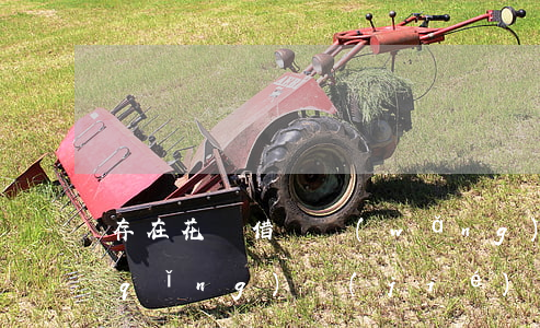 存在花唄借唄網(wǎng)商貸逾期請(qǐng)結(jié)清后-存在花唄借唄網(wǎng)商貸逾期請(qǐng)結(jié)清后多久恢復(fù)