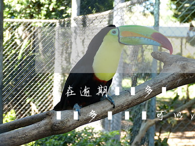 存在逾期記錄多長時間可以消除-存在逾期記錄多長時間可以消除掉