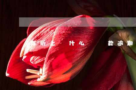 存折上為什么說貸款逾期