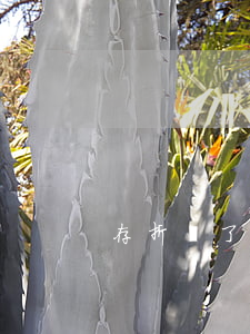 存折丟了可以補(bǔ)辦嗎