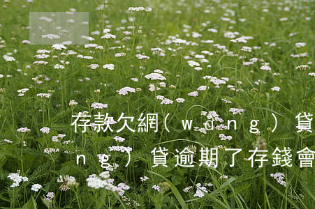 存款欠網(wǎng)貸會被扣嗎(網(wǎng)貸逾期了存錢會不會馬上被扣)
