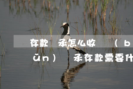 存款繼承怎么收費標(biāo)準(zhǔn)(繼承存款需要什么手續(xù))