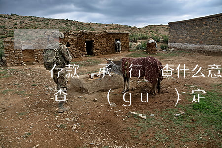 存款繼承銀行審查什么意思(簡述存款繼承的查詢規(guī)定)