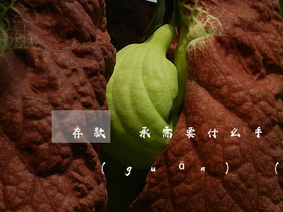 存款繼承需要什么手續(xù)(存款繼承相關(guān)規(guī)定)