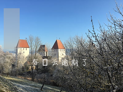 存證云逾期了