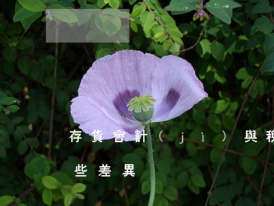 存貨會計(jì)與稅務(wù)處理有哪些差異
