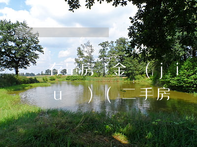 存量房資金監(jiān)管法律法規(guī)(二手房買賣中的資金監(jiān)管)