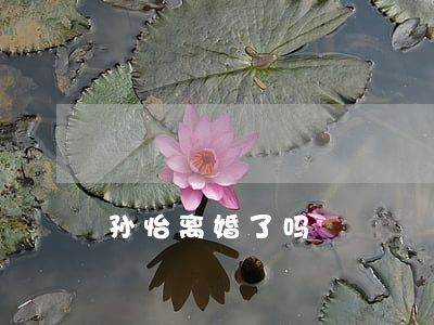 孙怡离婚了吗
