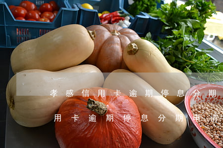 孝感信用卡逾期停息分期申请条件-孝感信用卡逾期停息分期申请条件是什么
