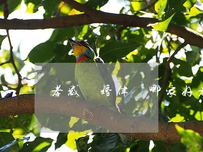 孝感離婚律師哪家好(孝感十大金牌律師)