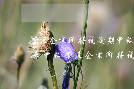 季度企业所得税逾期申报会怎么样处罚，逾期未申报季度企业所得税的后果与处罚措施
