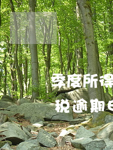 季度所得税逾期申报带什么资料-季度所得税逾期申报带什么资料去申报