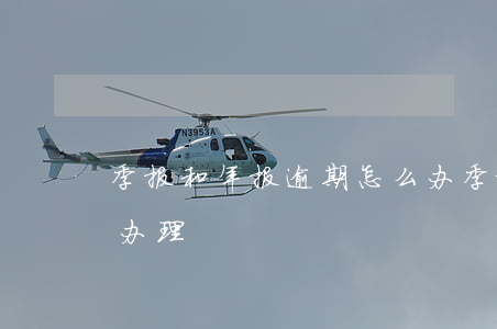 季报和年报逾期怎么办(季报和年报逾期怎么办理)