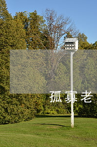 孤寡老人的定義(孤寡老人的意思是啥)