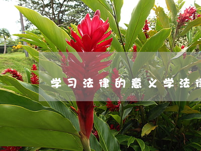 学习法律的意义(学法律的作用)