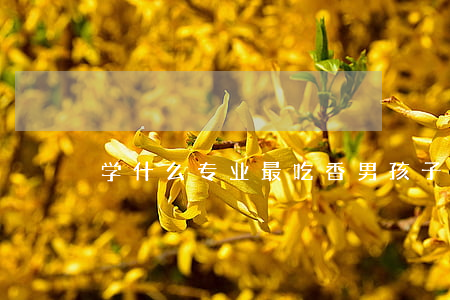 学什么专业最吃香(男孩子学什么专业最吃香)