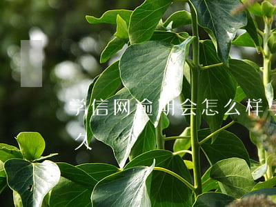 学信网逾期会怎么样(学信网延期可以延长多久)